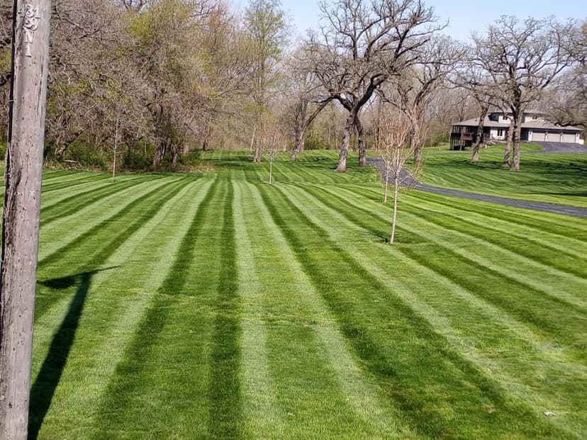 Award-Winning Lawn Care's image